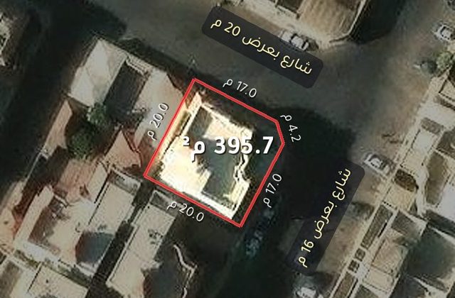 أرض حي النخيل